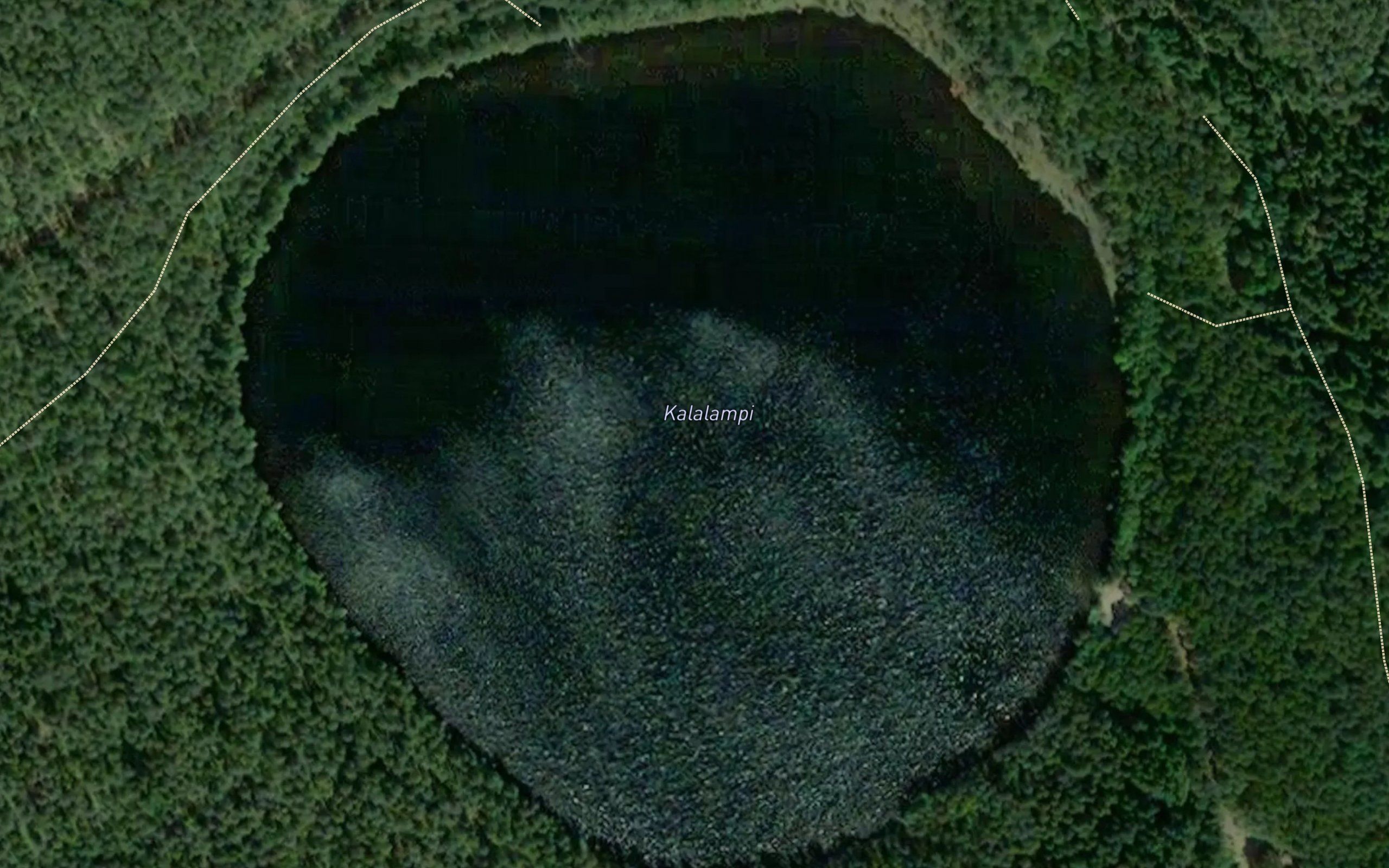 Kalalampi