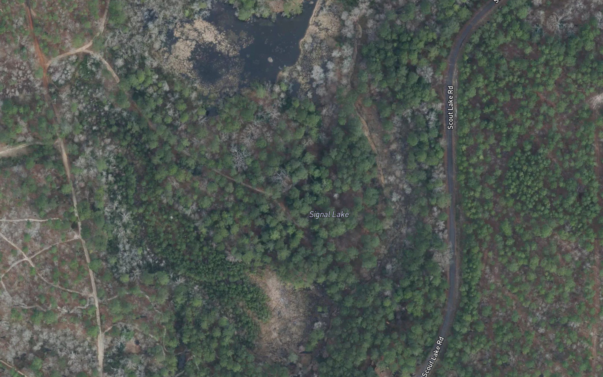 Signal Lake