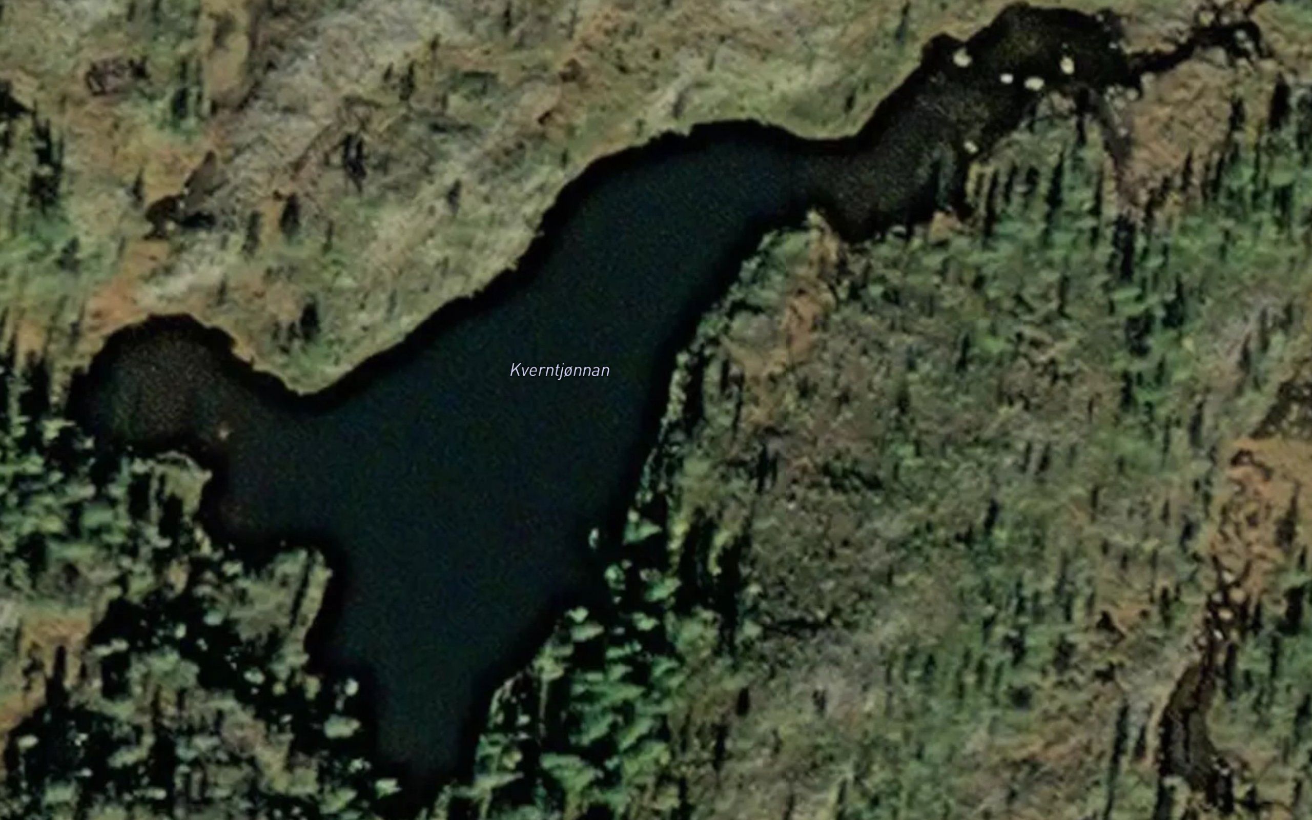 Kverntjornan