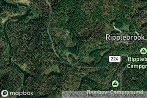 Ripplebrook Pond