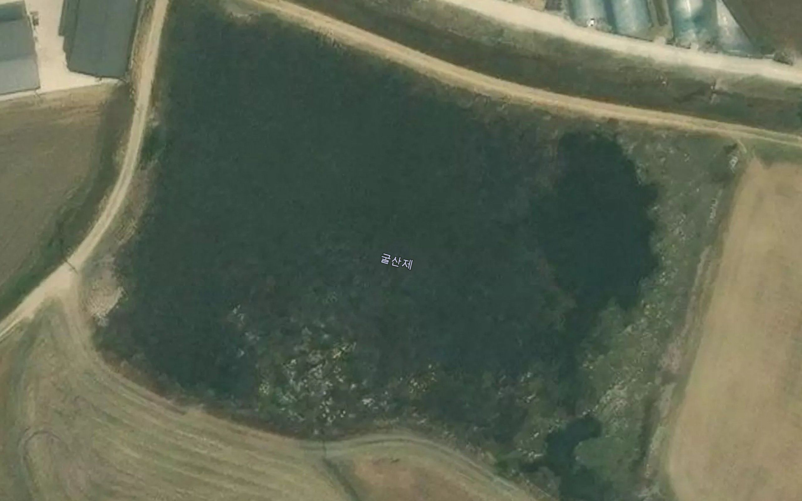 Naegwije