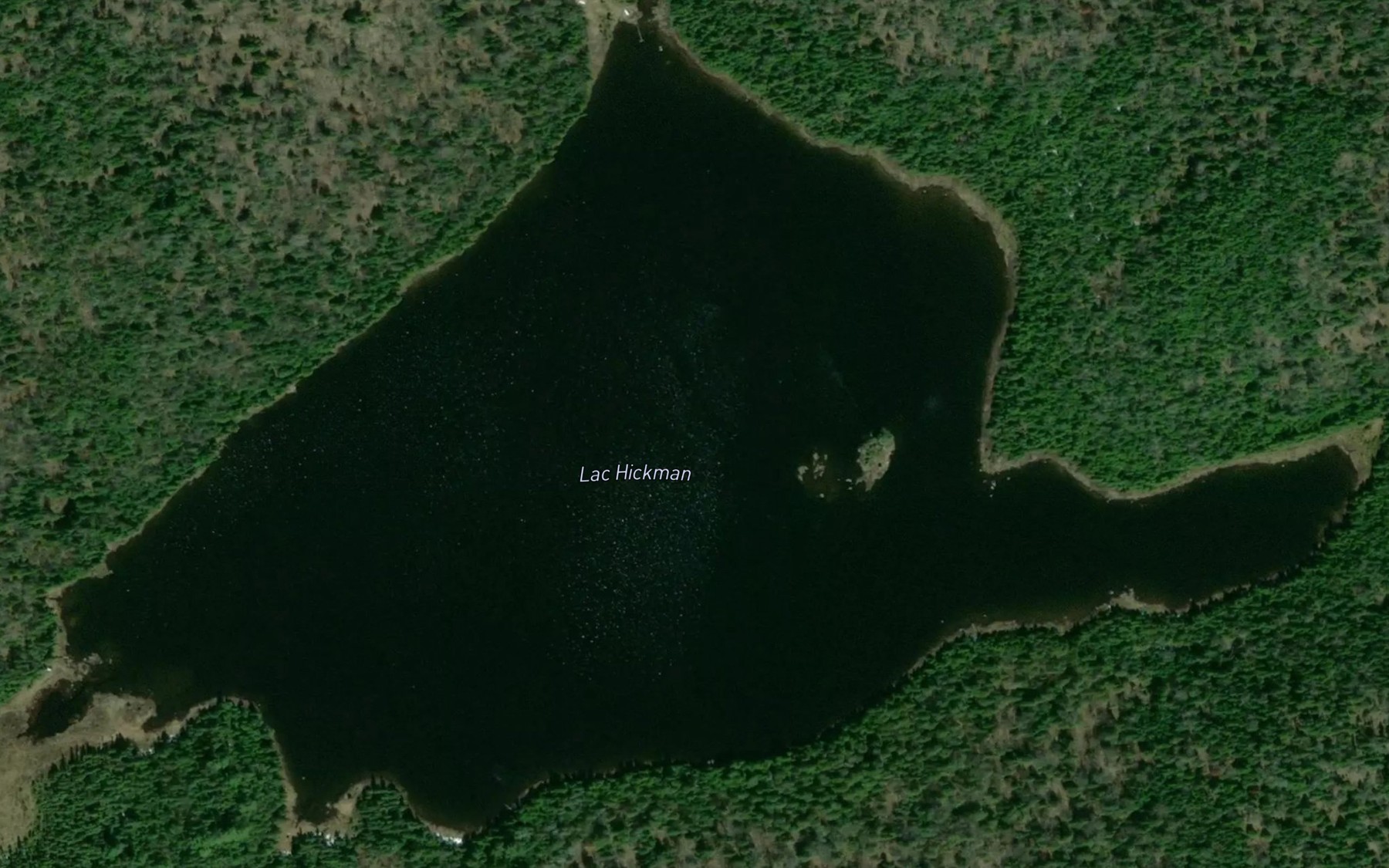 Satellite map of the Lac Hickman