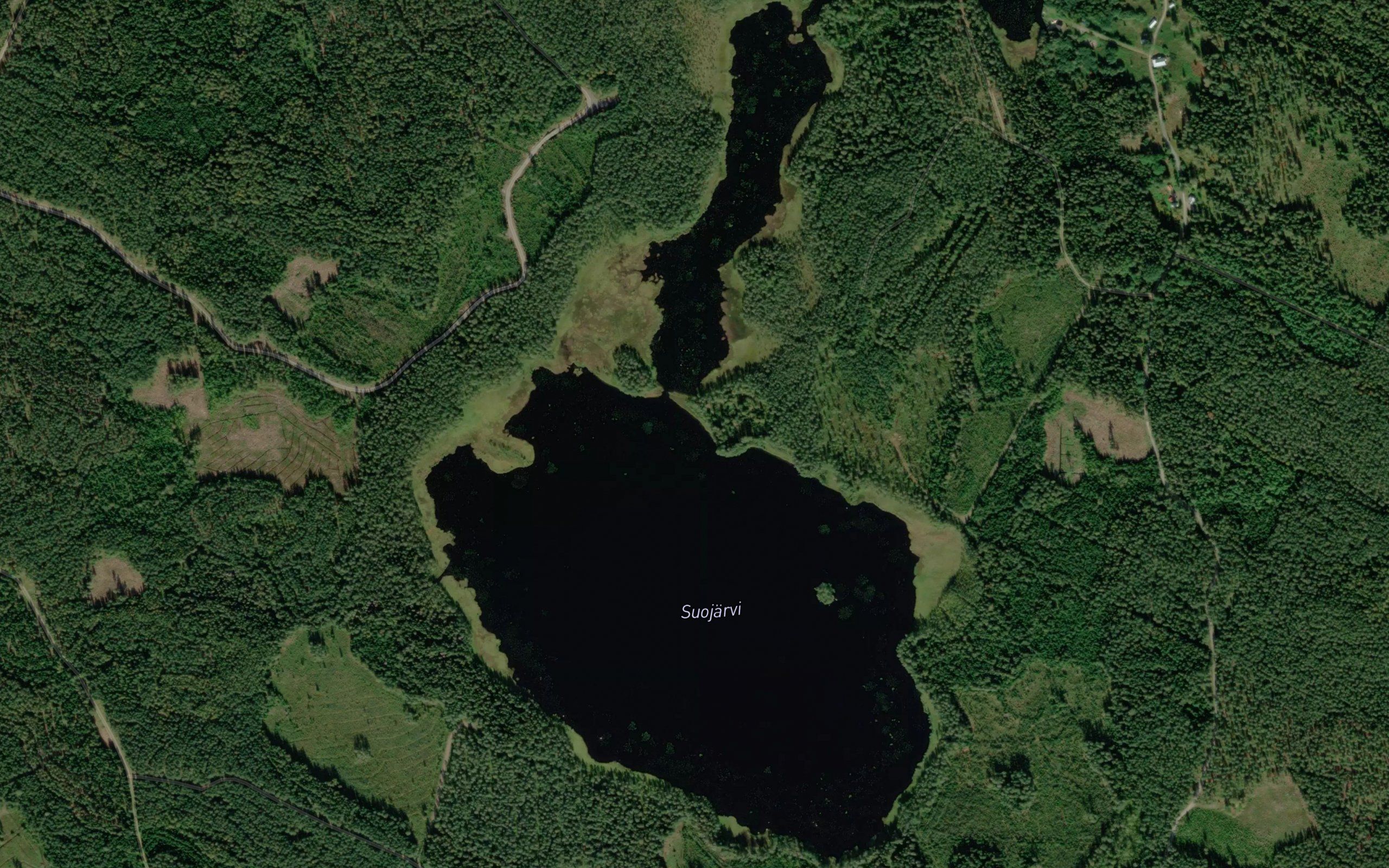 Suojarvi