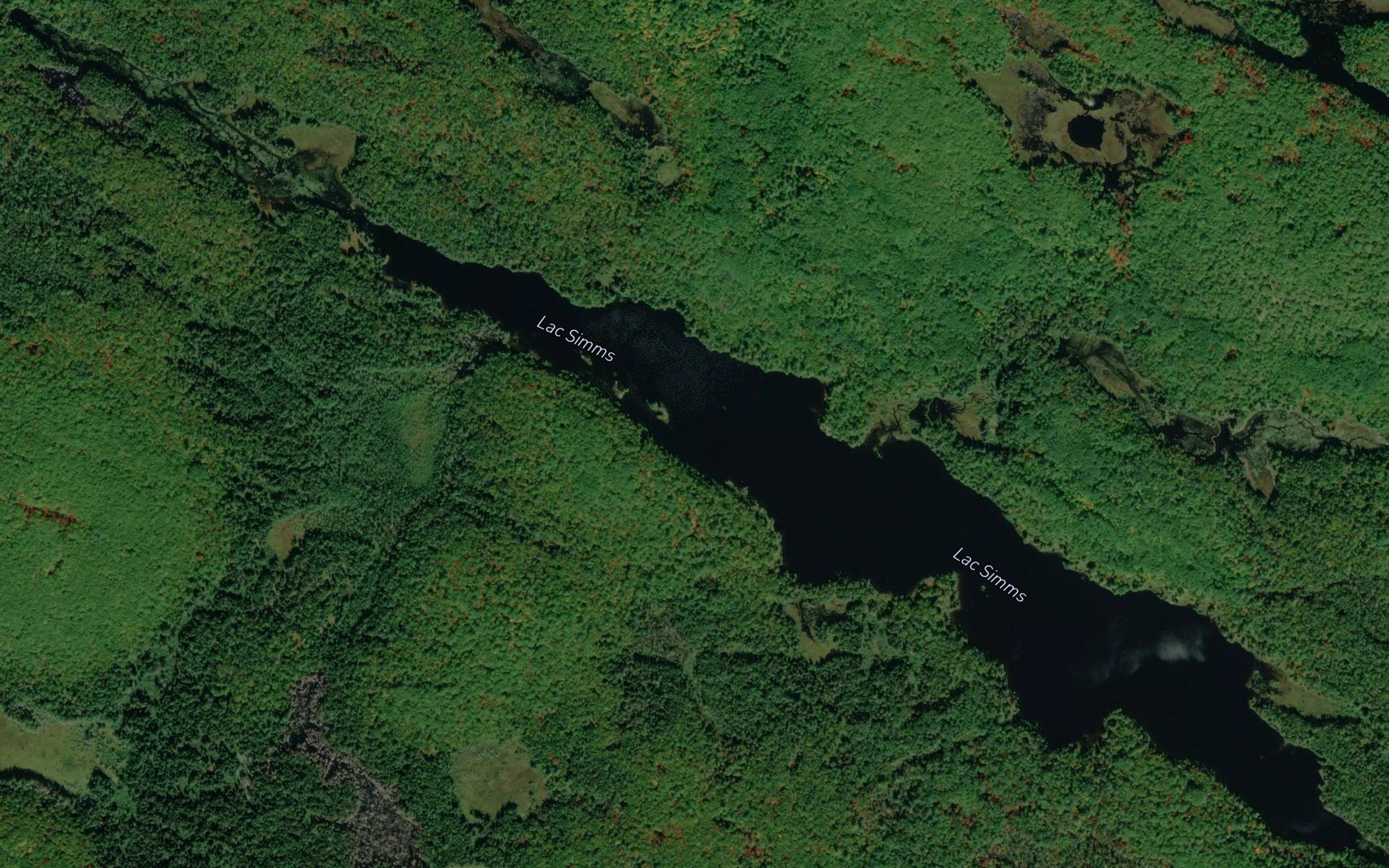 Lac Simms