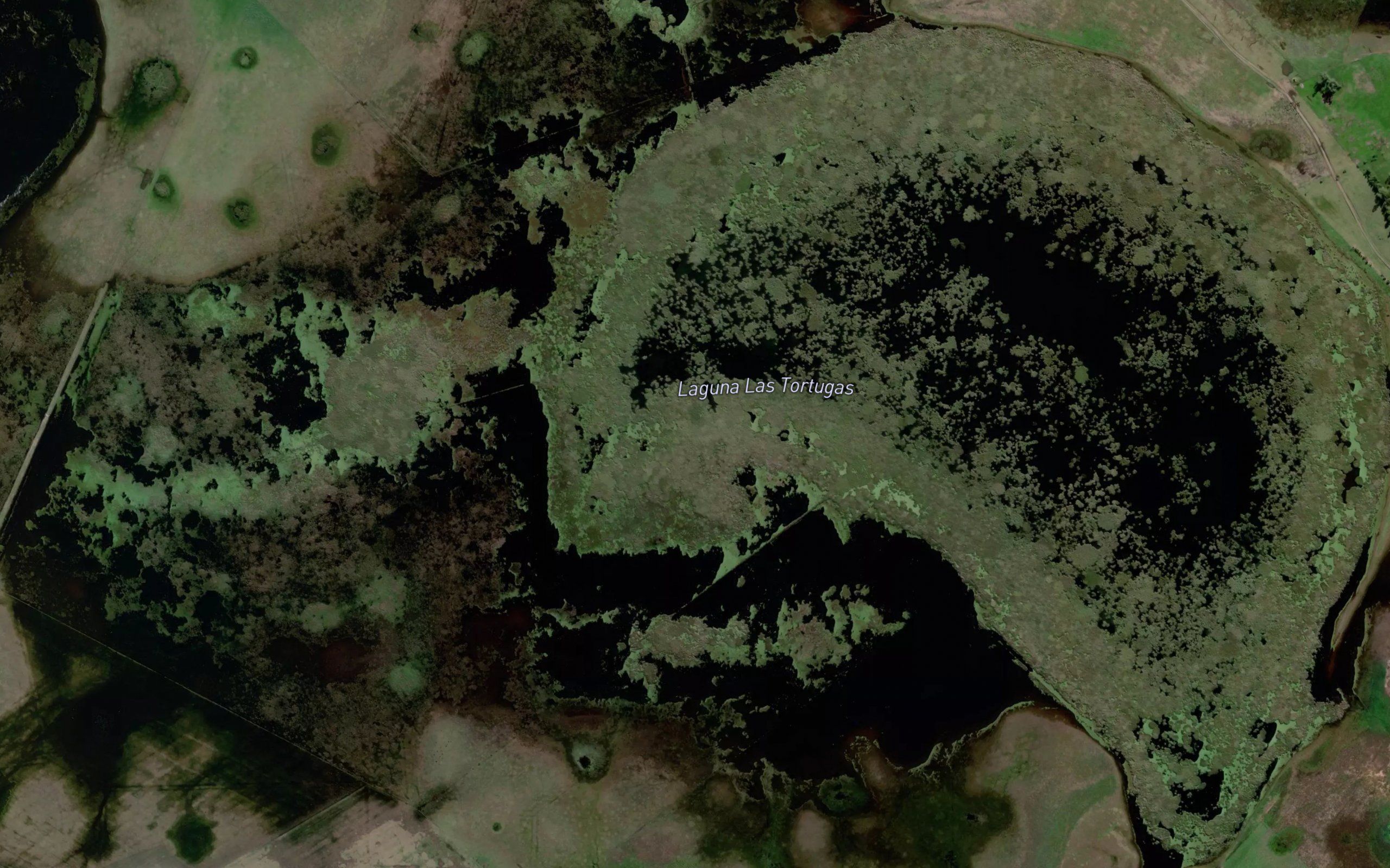 Laguna Las Tortugas