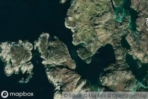 Kaggevika