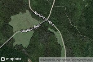 Sagfallet