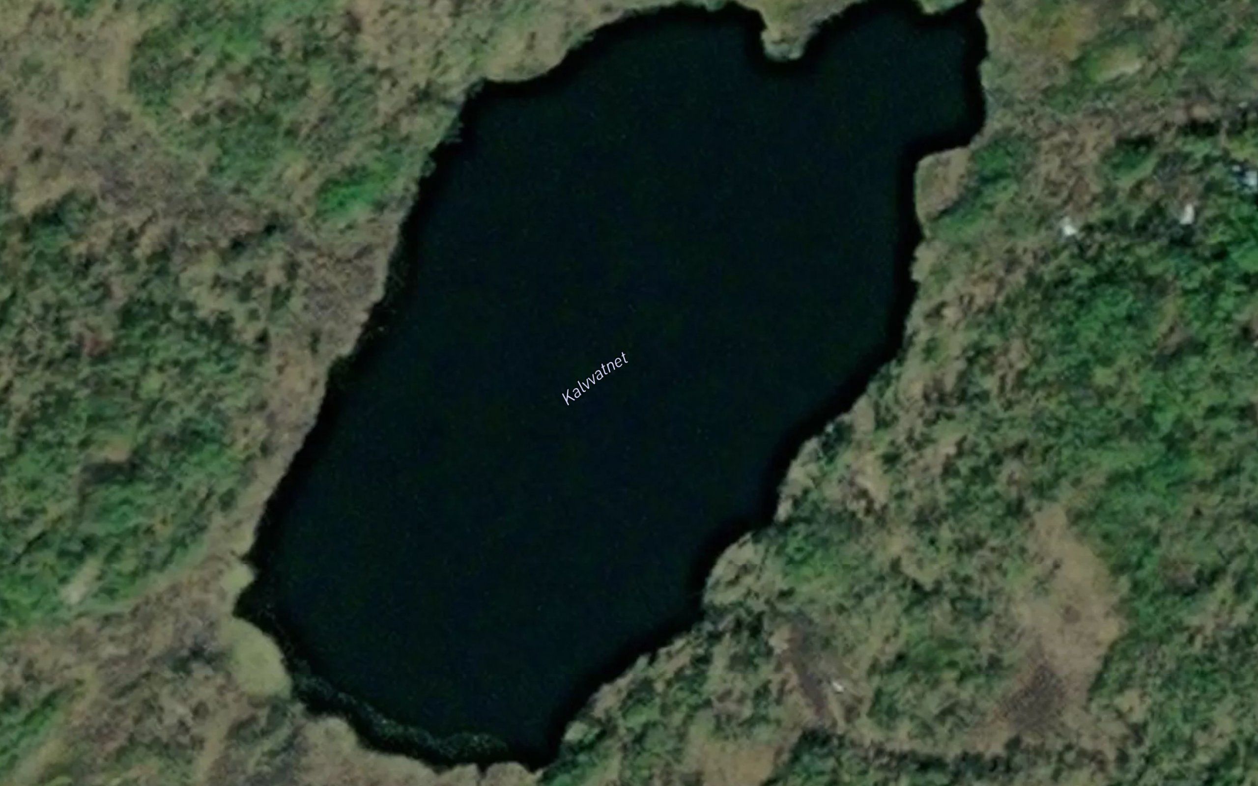 Kalvvatnet