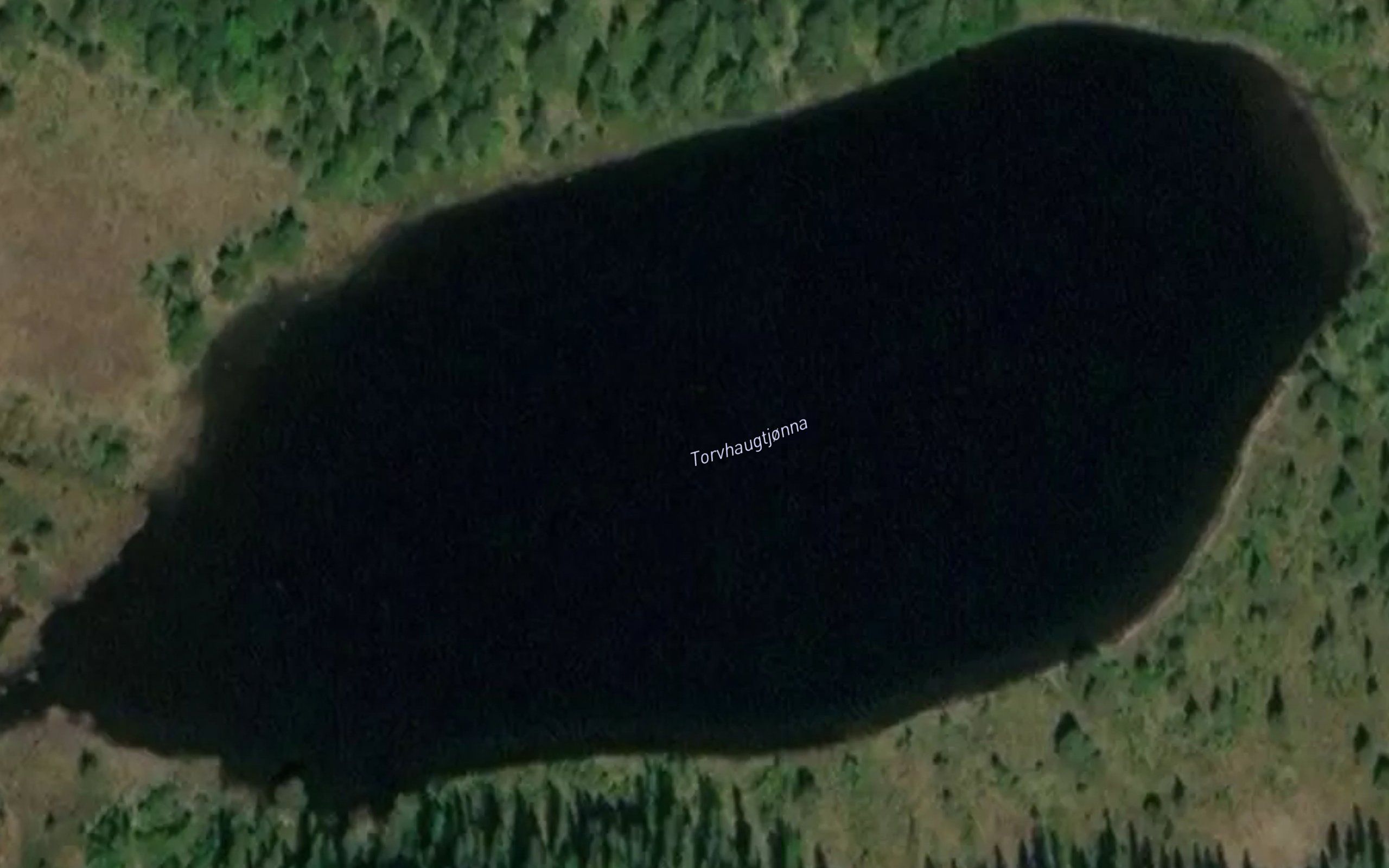 Torvhaugtjorna