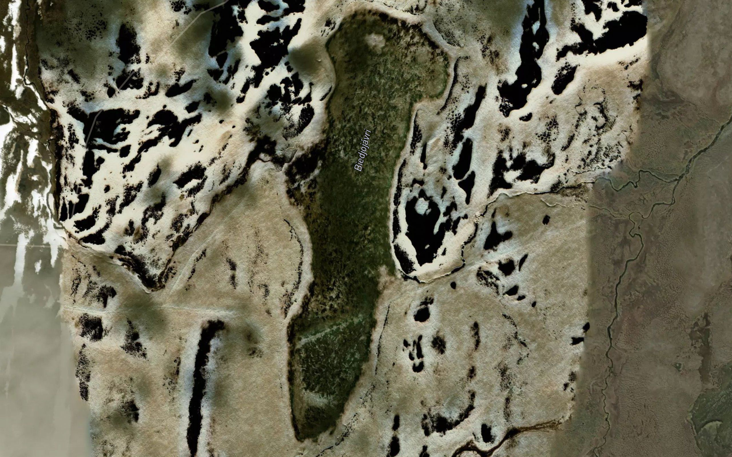 Bieddjujavri