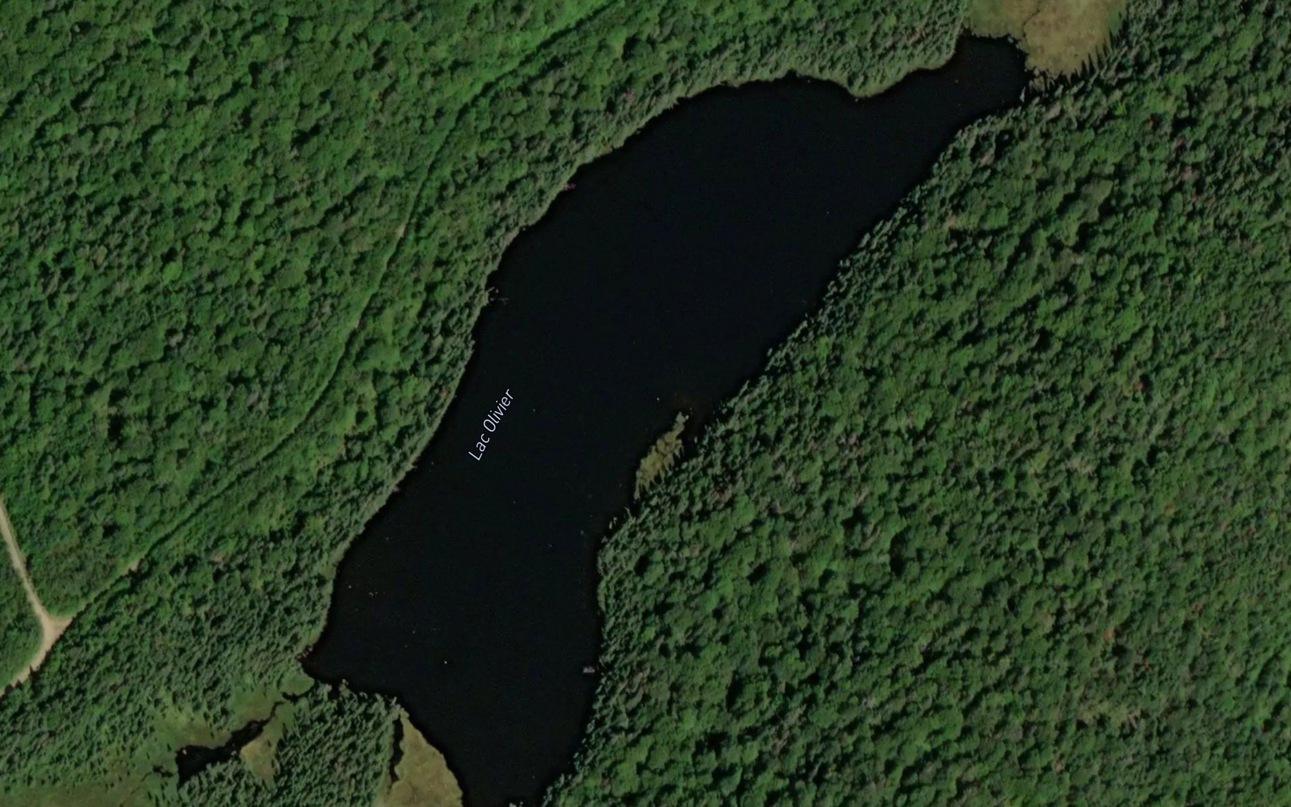 Lac Olivier