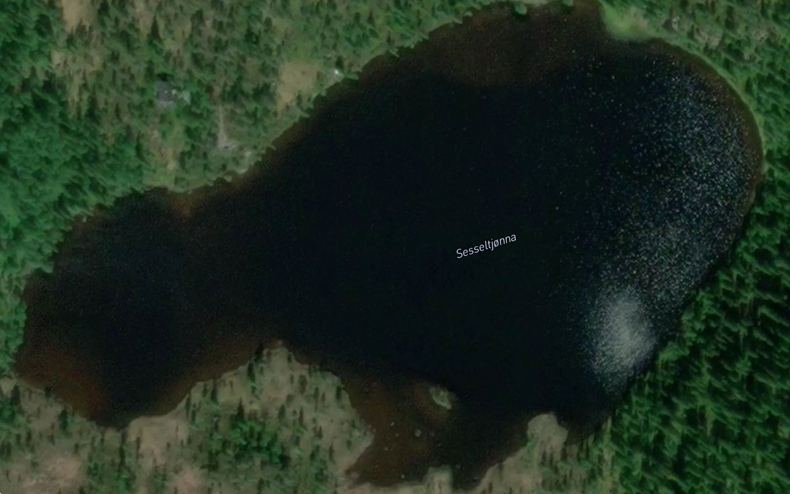 Sisseltjorna