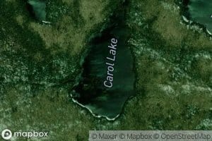 Carol Lake