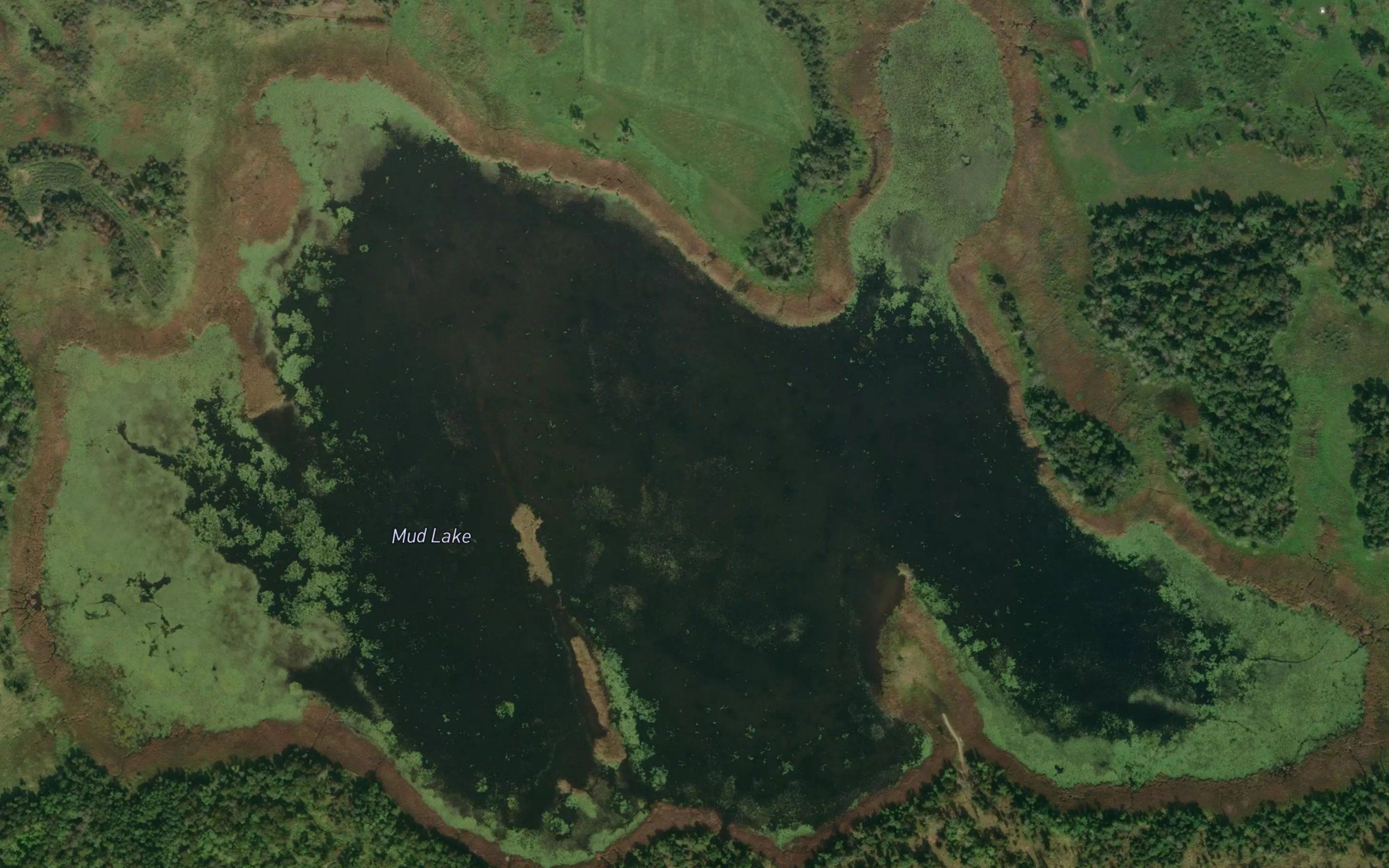 Mud Lake
