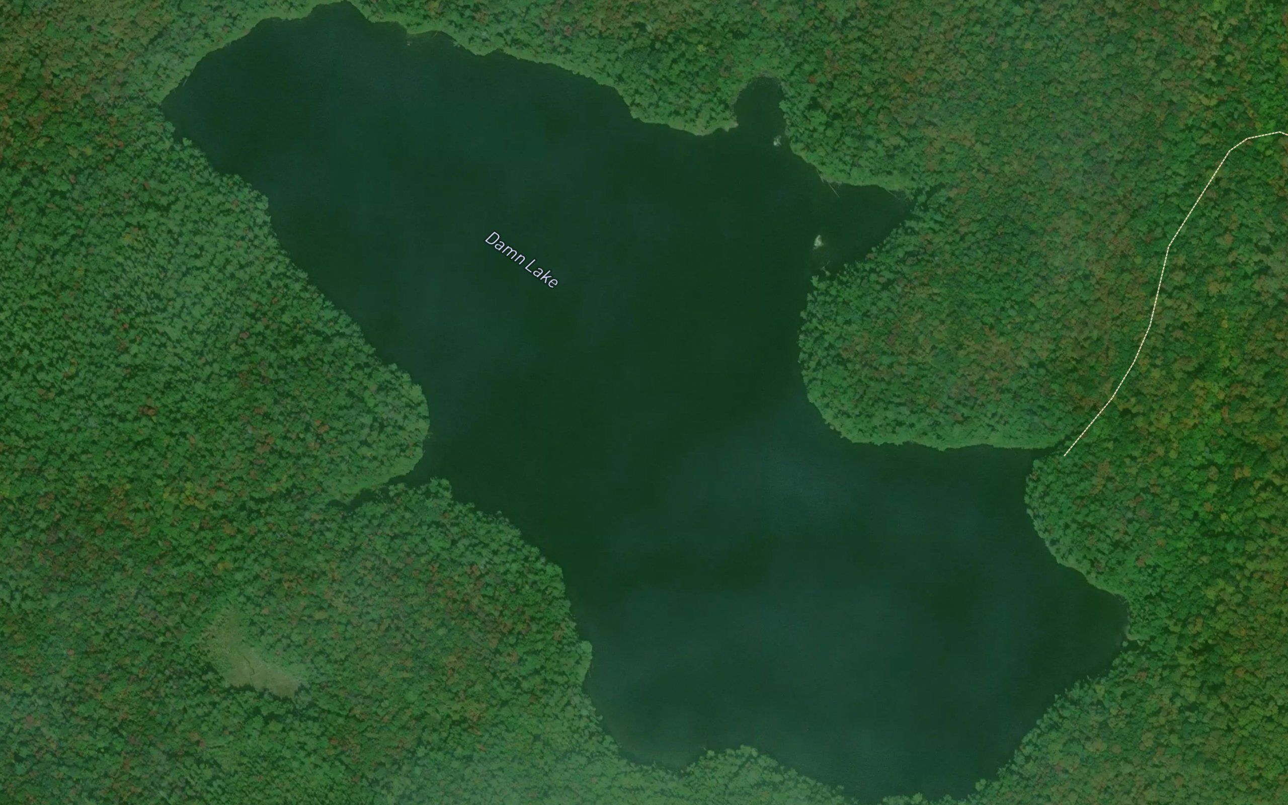 Damn Lake