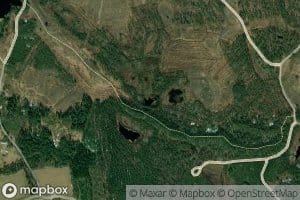 Ollinlampi