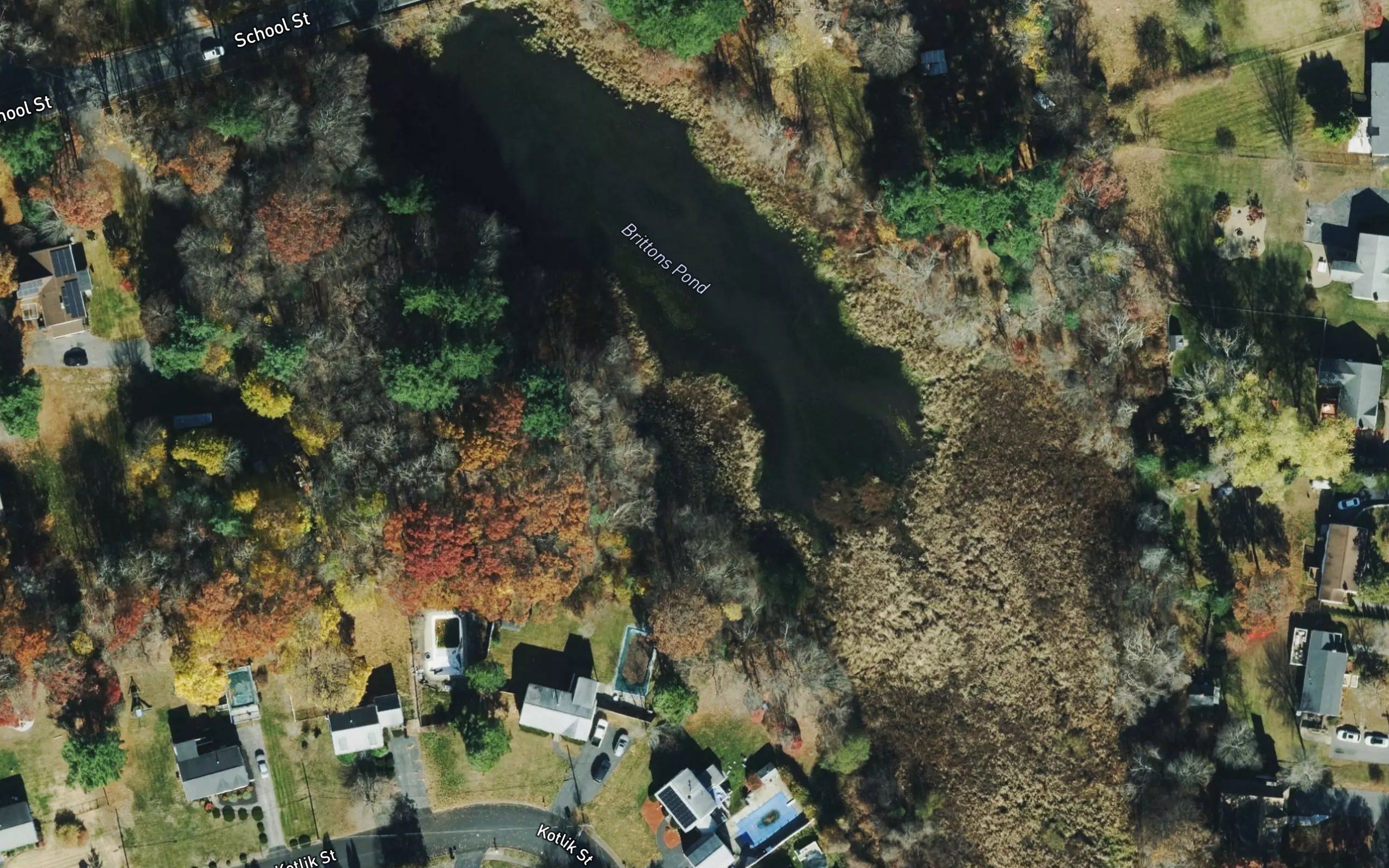 Brittons Pond