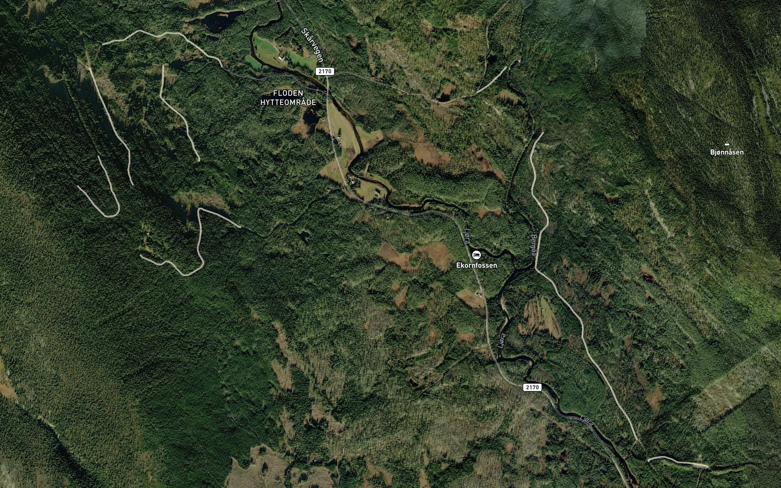 Bergliseget