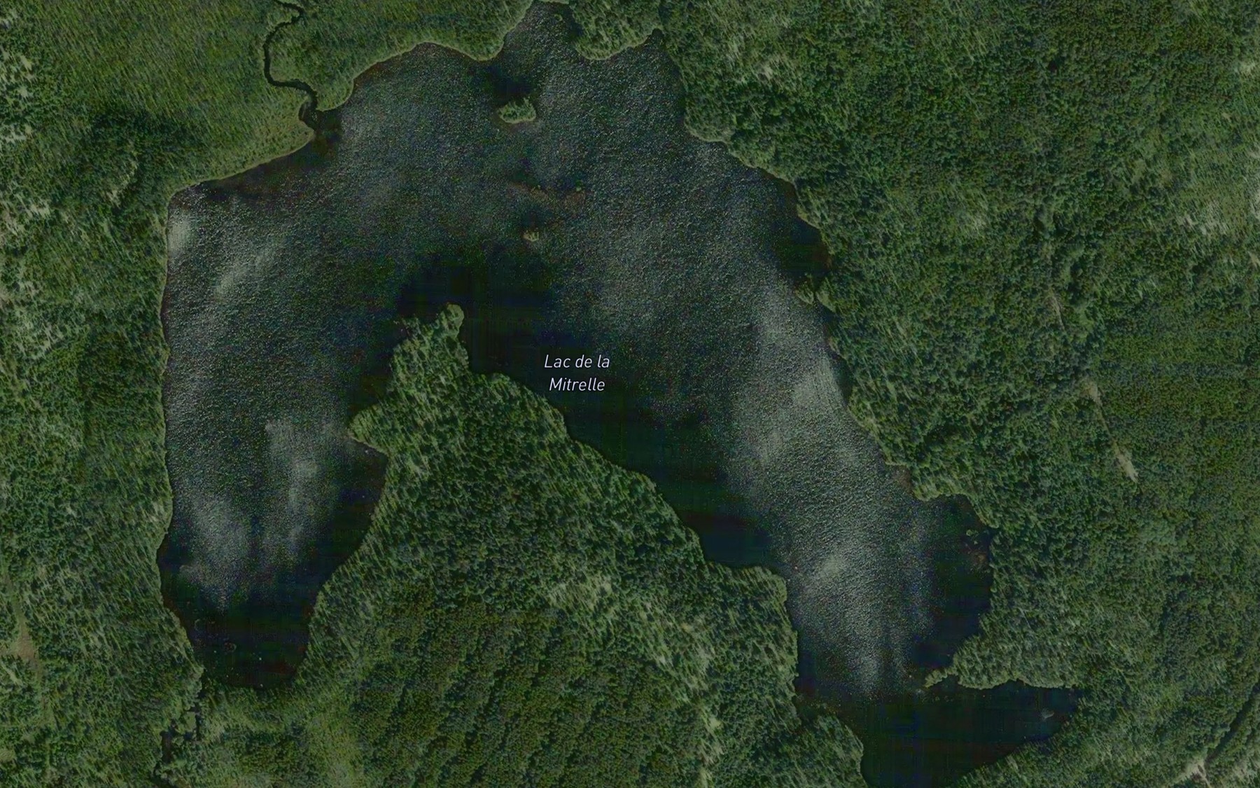 Satellite map of the Lac de la Mitrelle