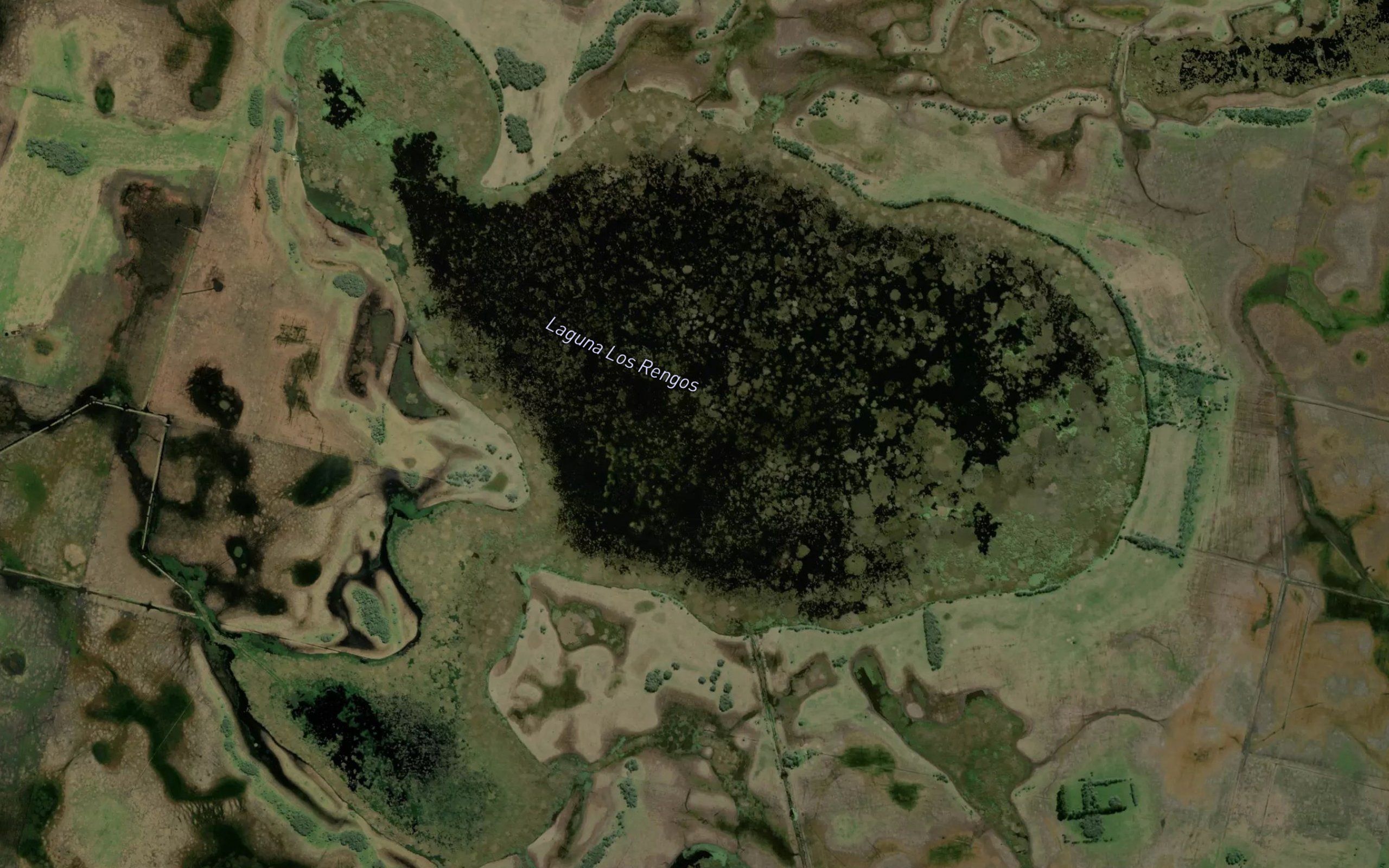 Laguna Los Rengos