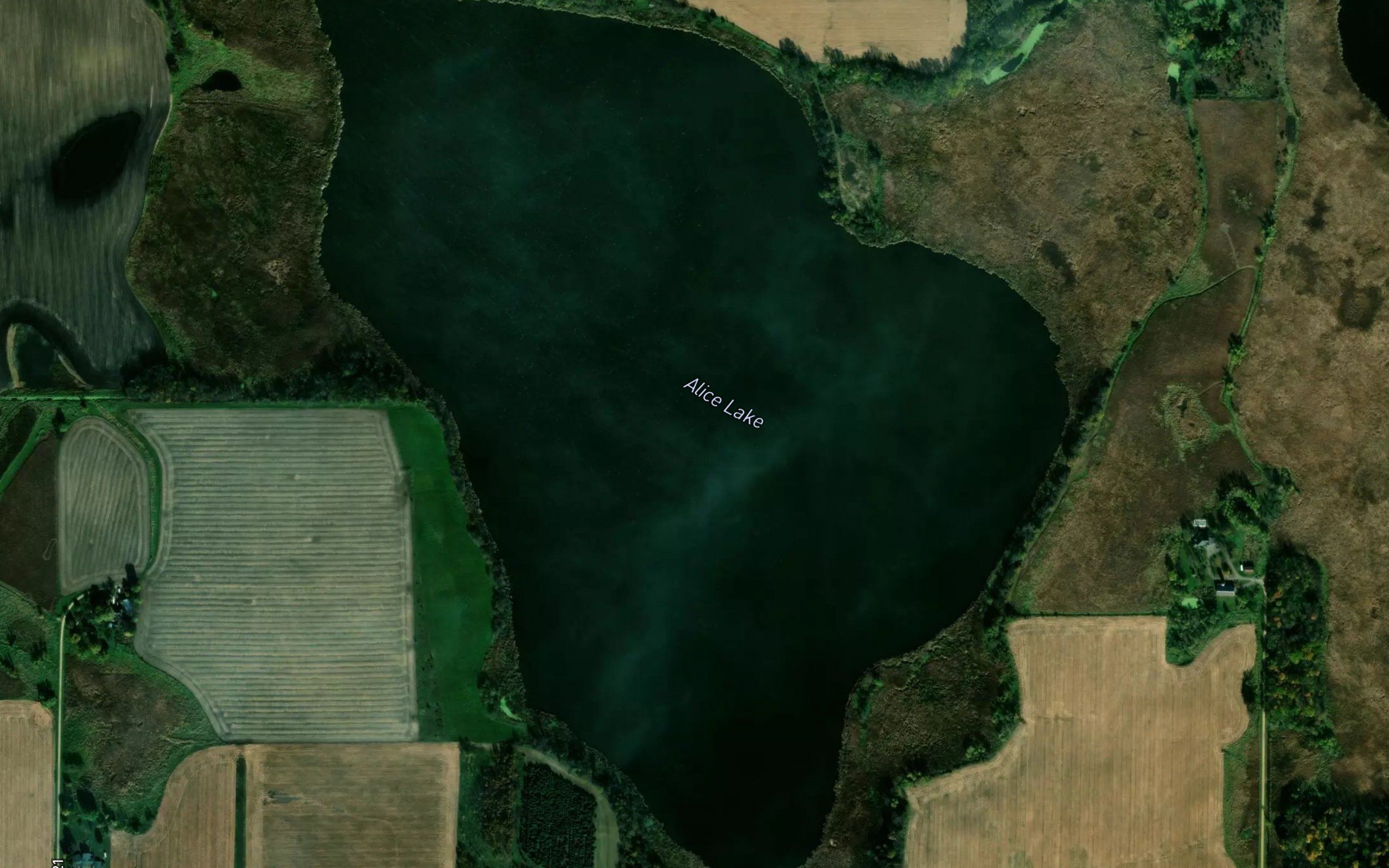 Alice Lake