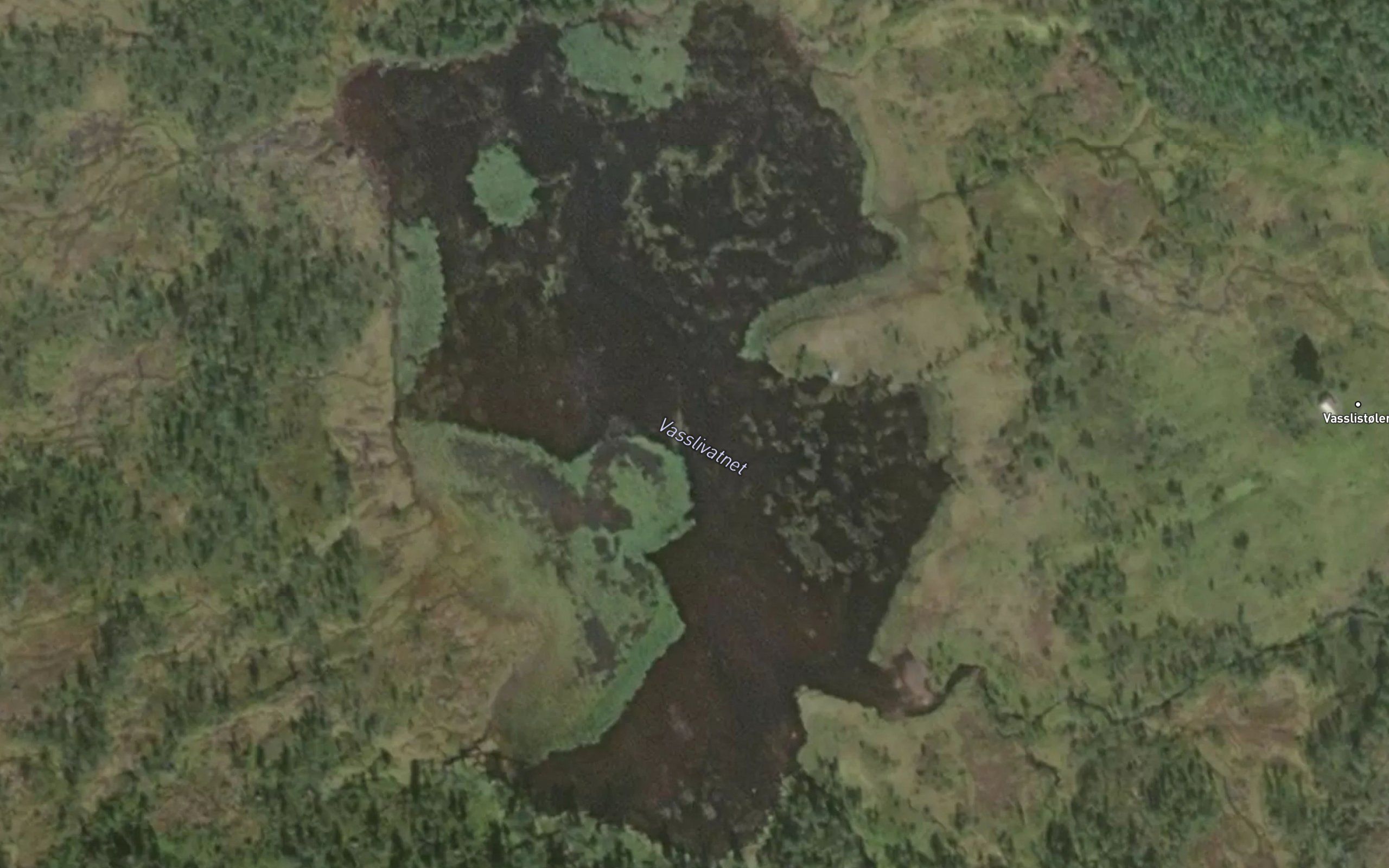 Vasslivatnet