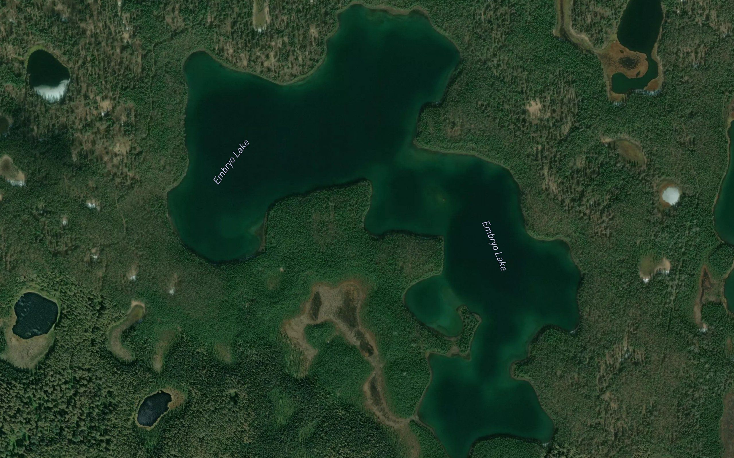 Embryo Lake