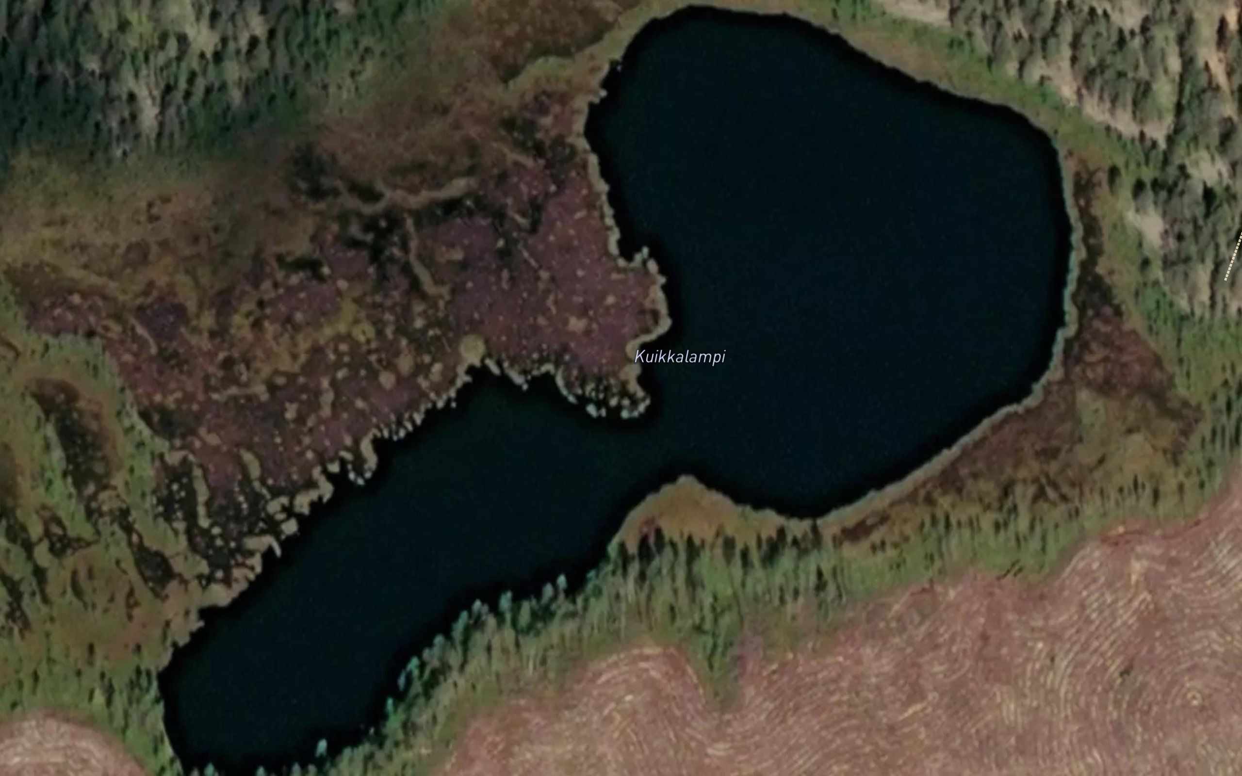 Kuikkalampi