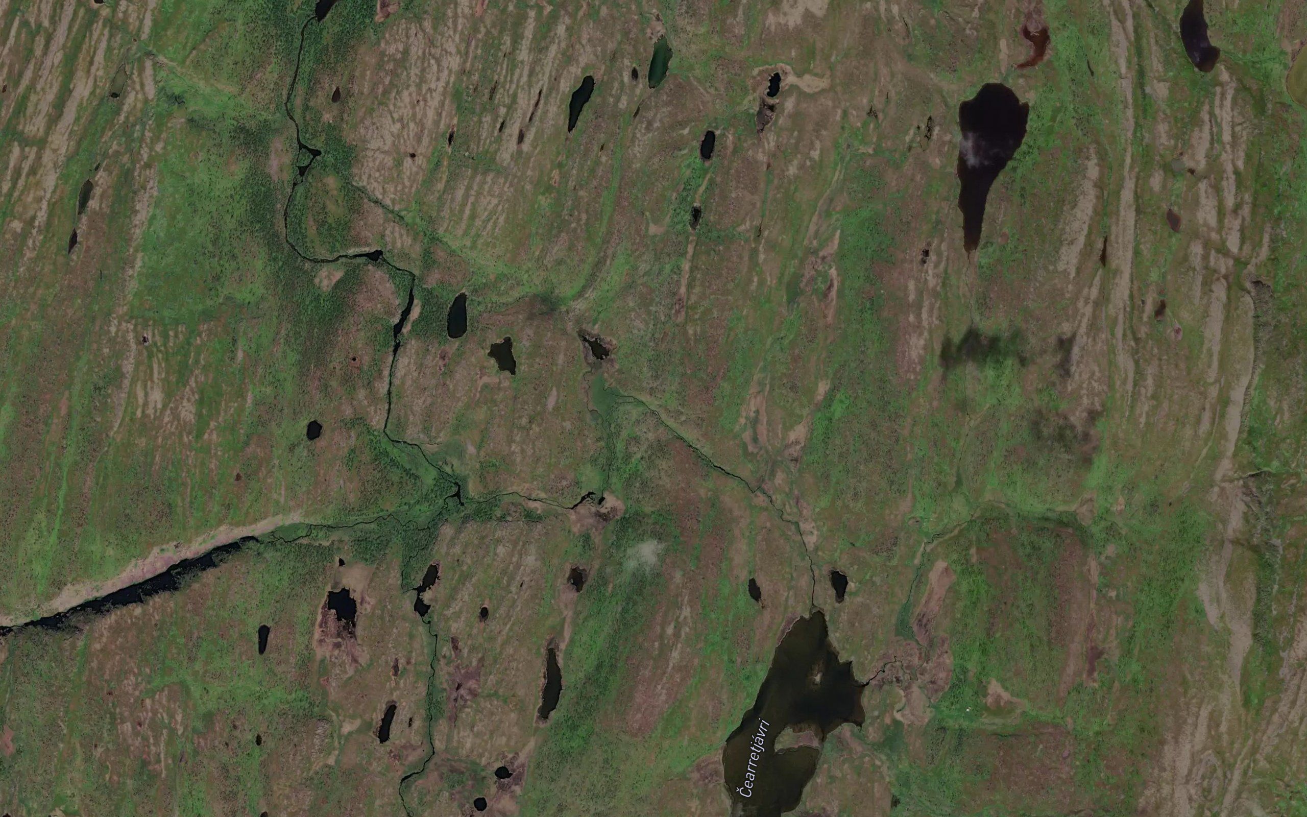 Caerretjakka