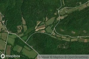 Opossum Branch