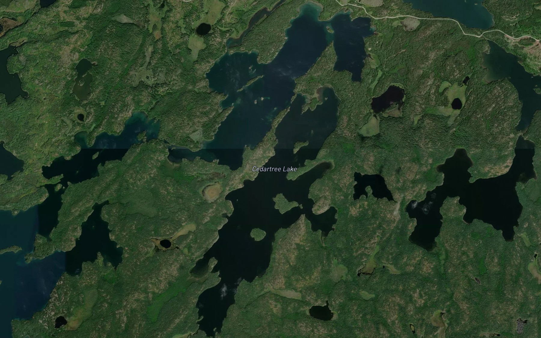 Satellite map of the Cedartree Lake