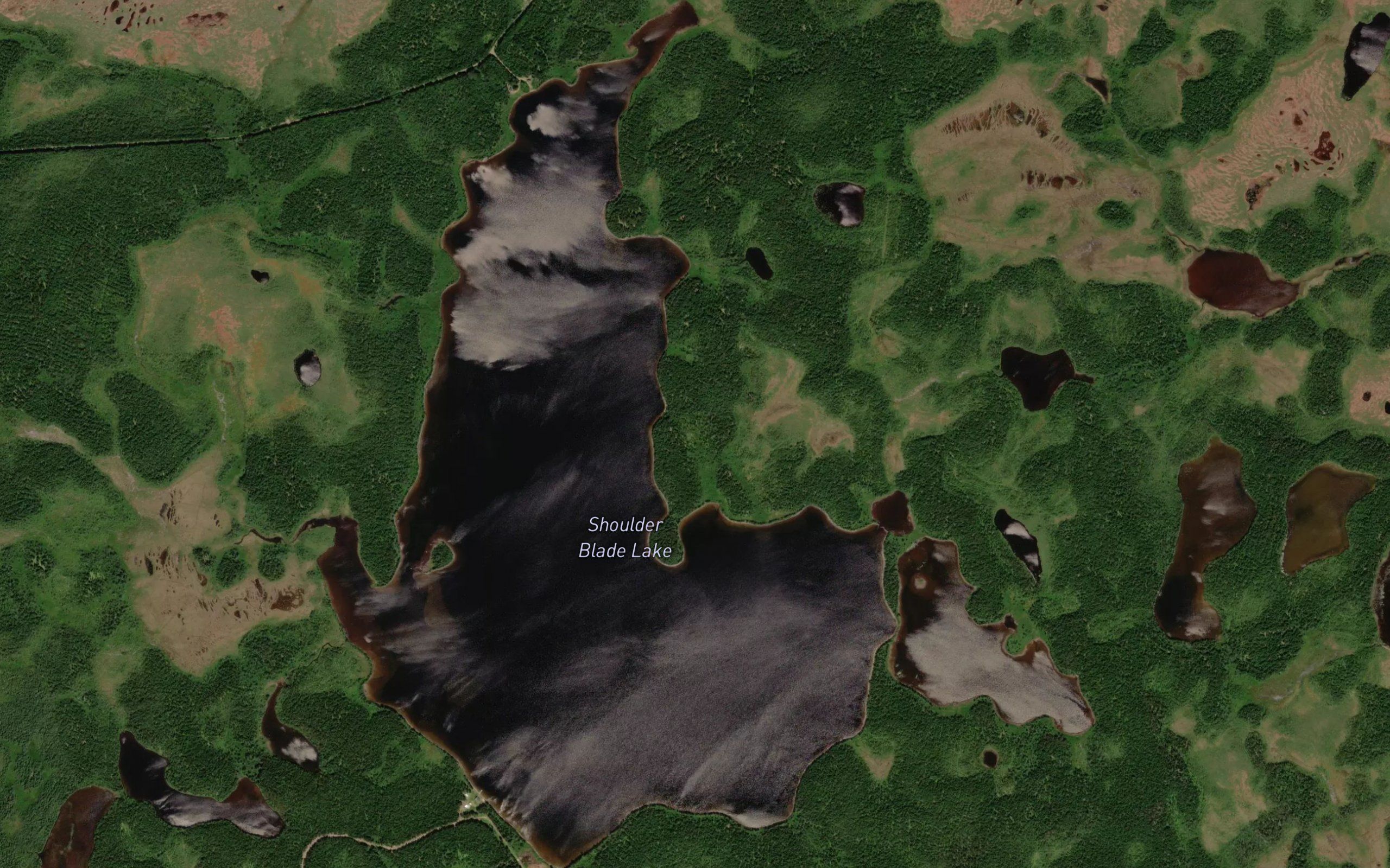 Shoulder Blade Lake