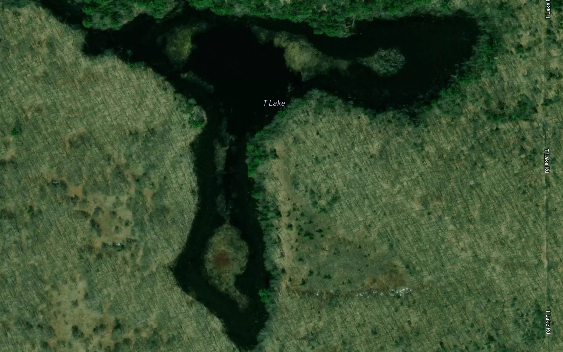 Satellite map of the T Lake