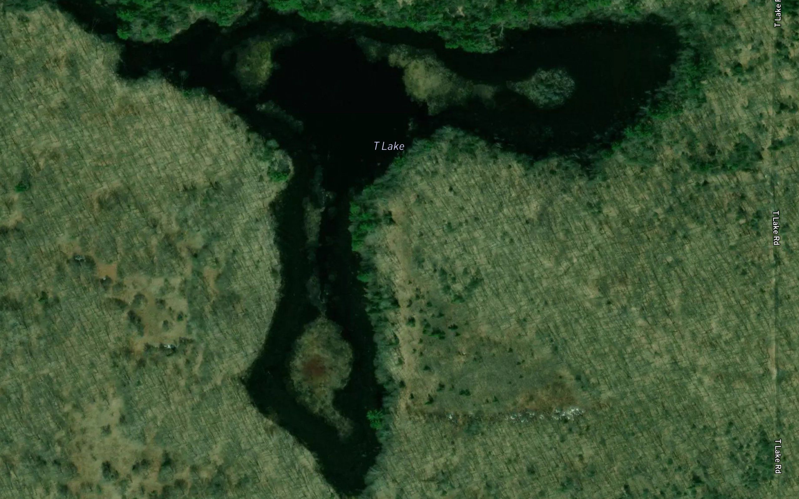 T Lake