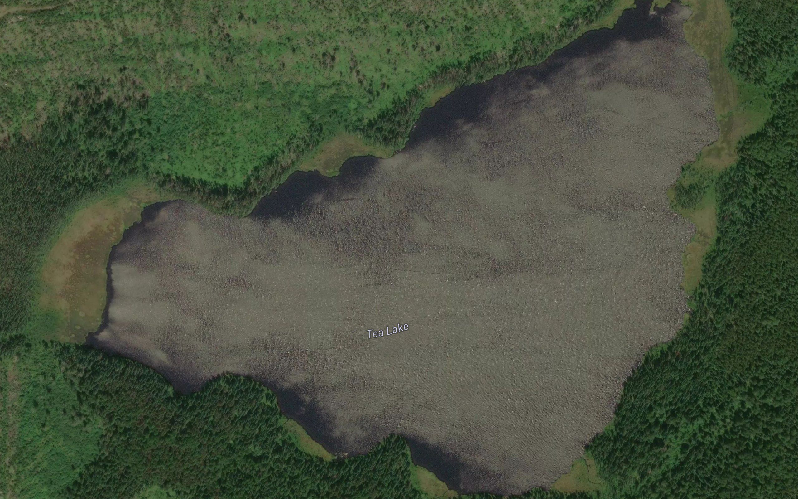 Tea Lake