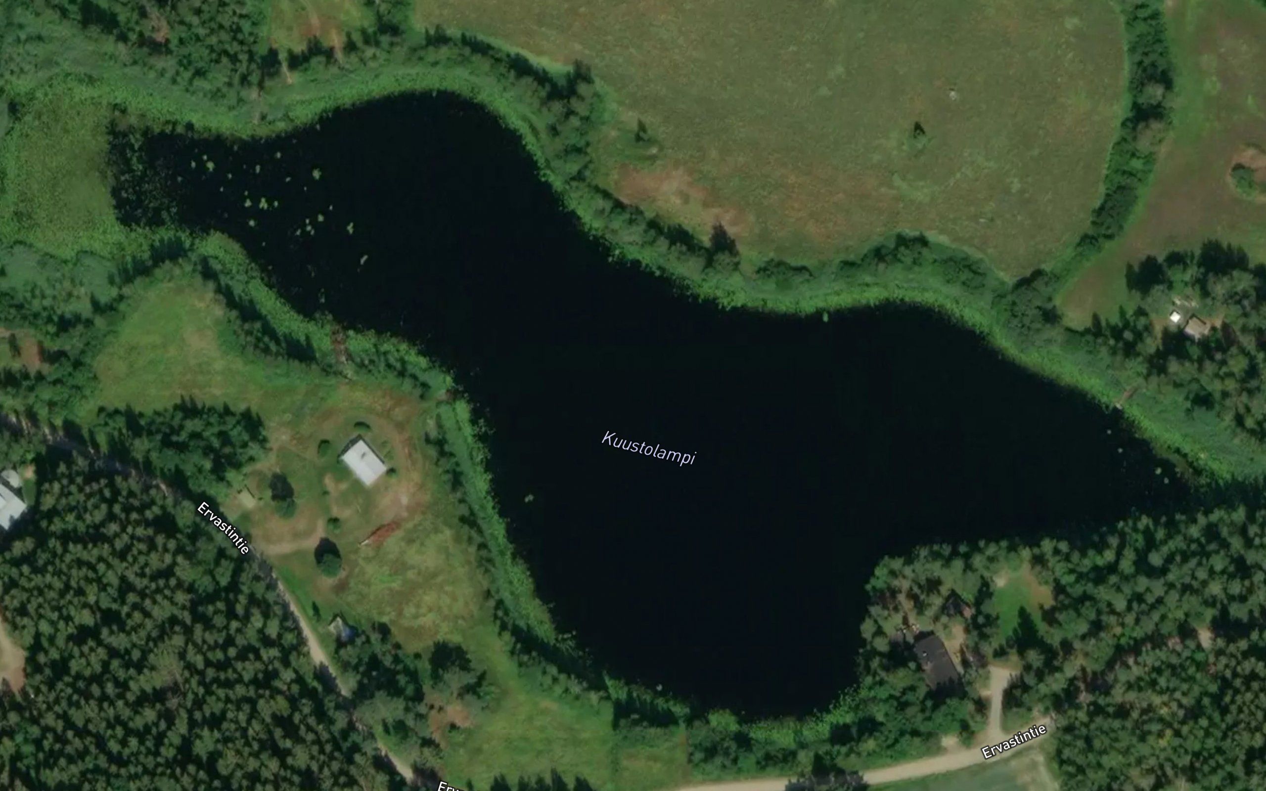 Kuustolampi