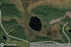 Kaakkurinpesalampi