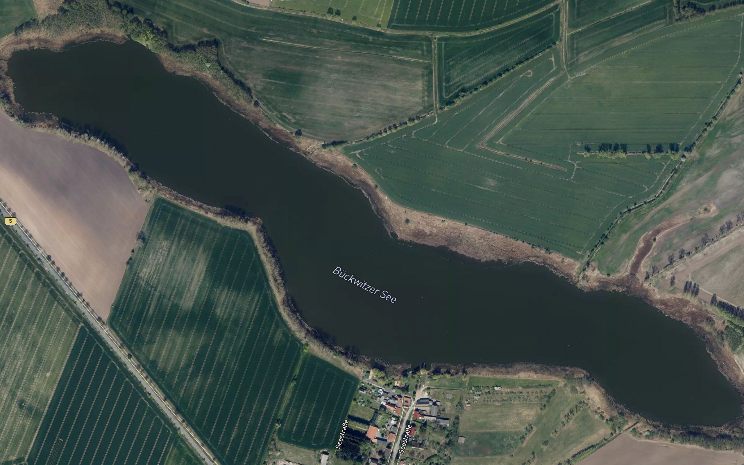 Buckwitzer See
