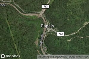 Upper Shannon Branch