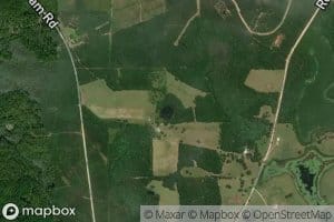 Mayhaw Pond