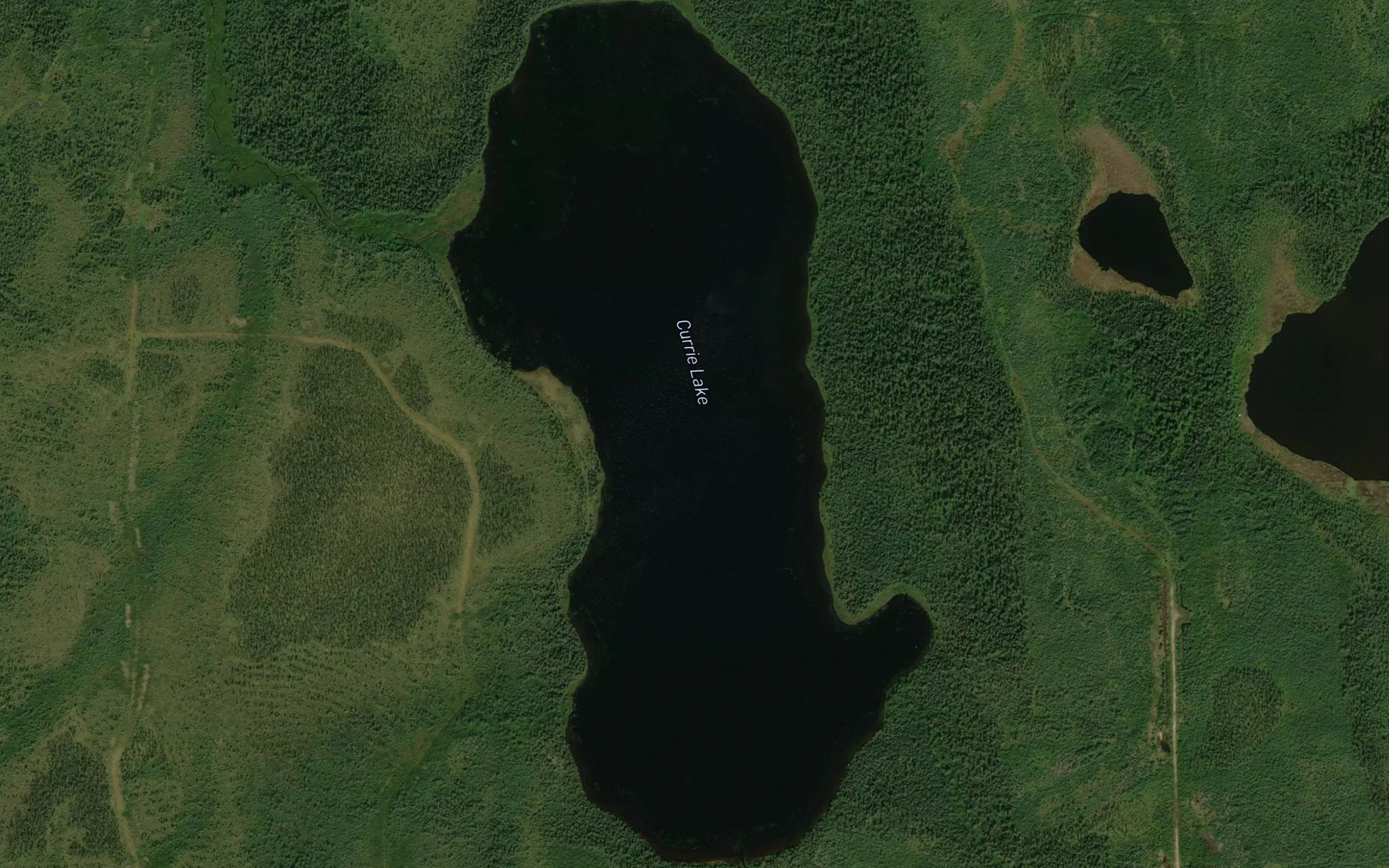 Satellite map of the Currie Lake