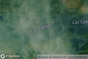 Lac Catfish