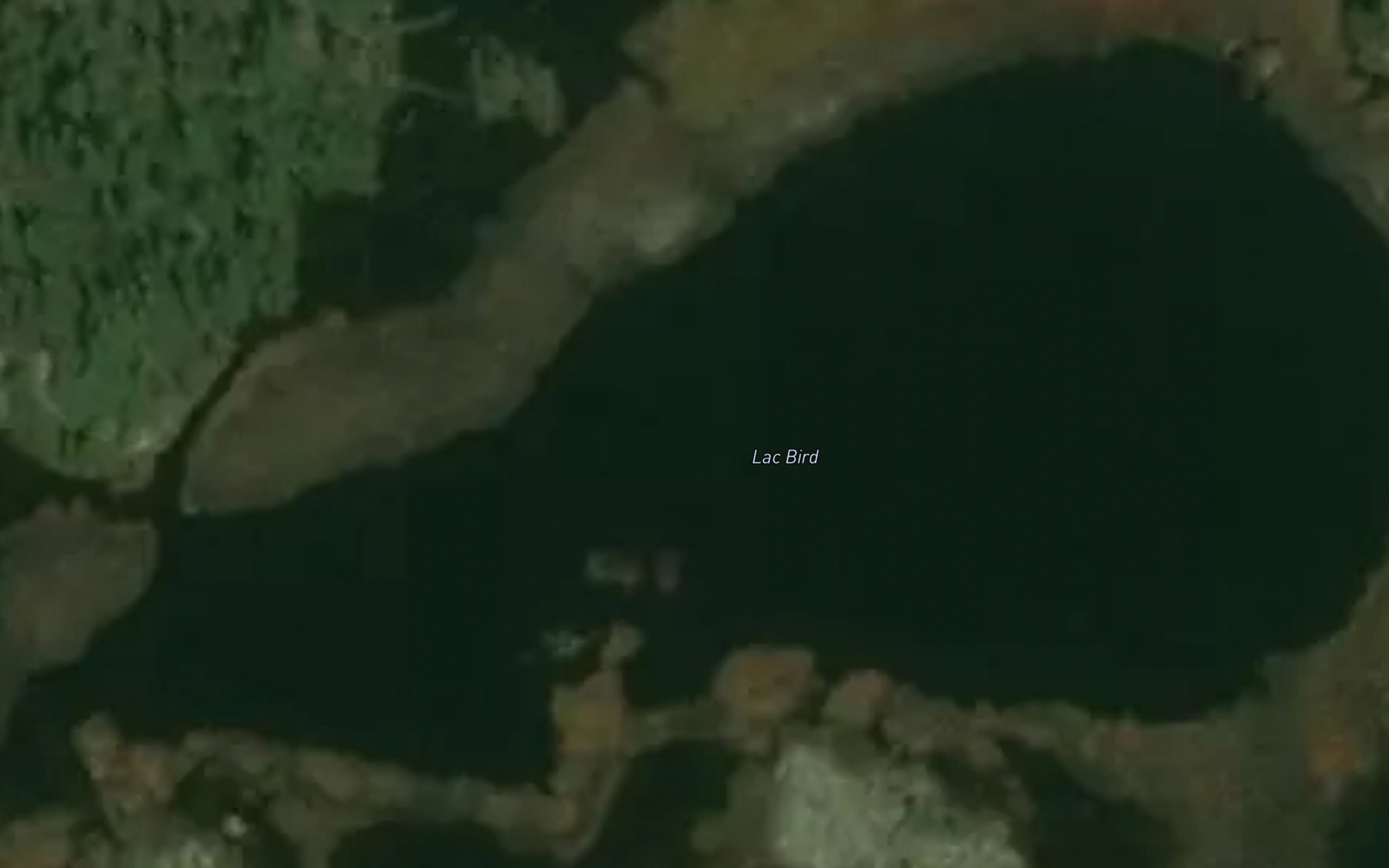 Satellite map of the Lac Bird