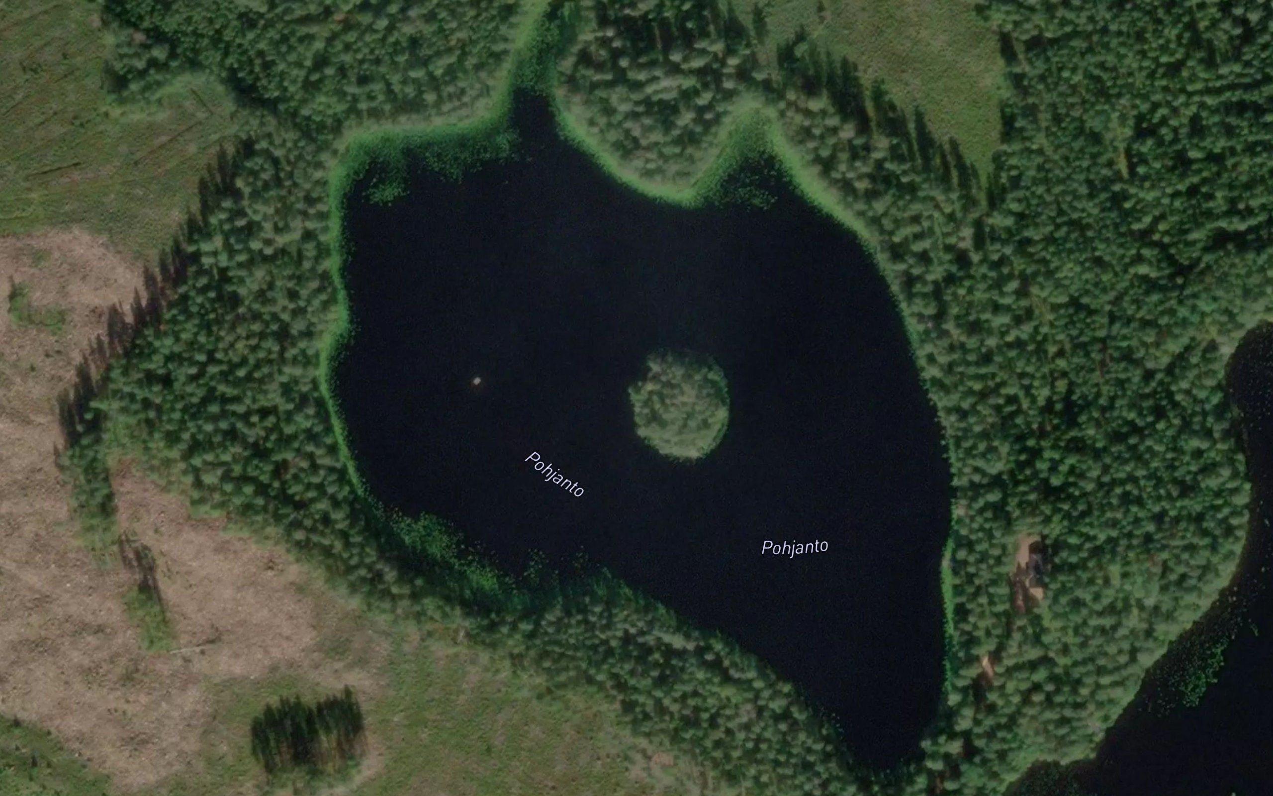 Pojanto