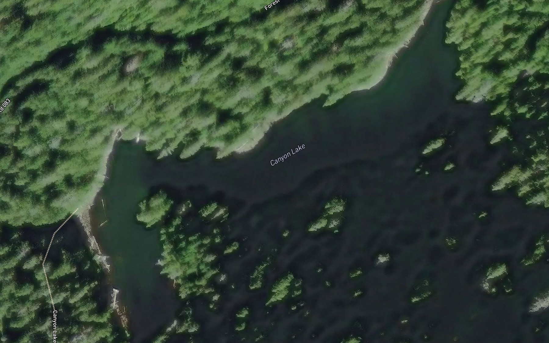 Satellite map of the Canyon Lake