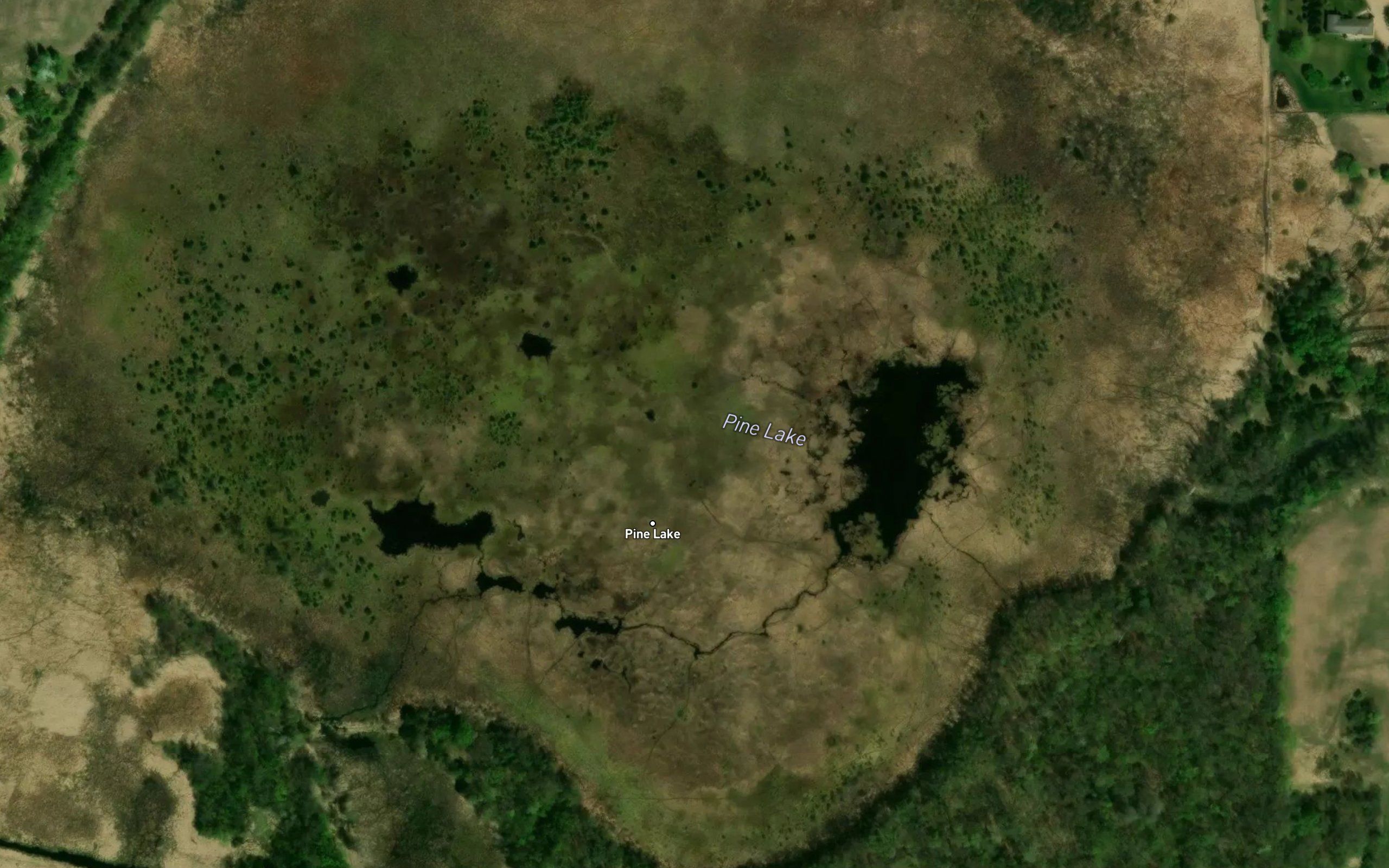 Pine Lake