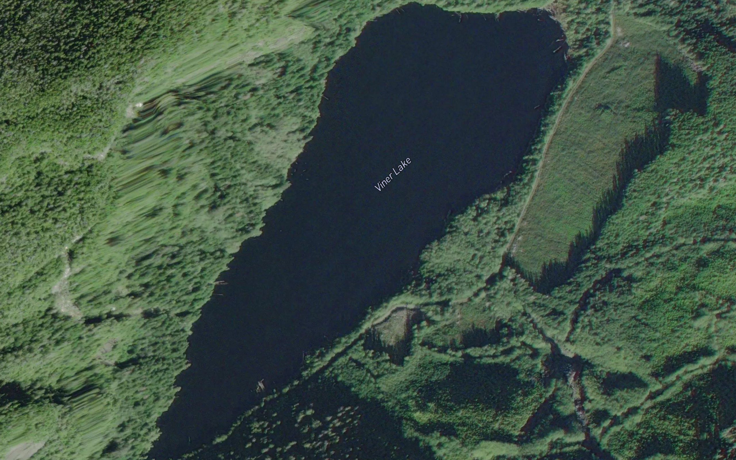 Viner Lake