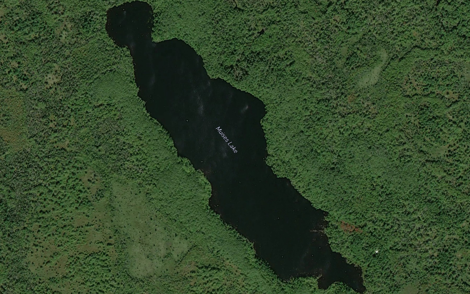 Satellite map of the Muises Lake