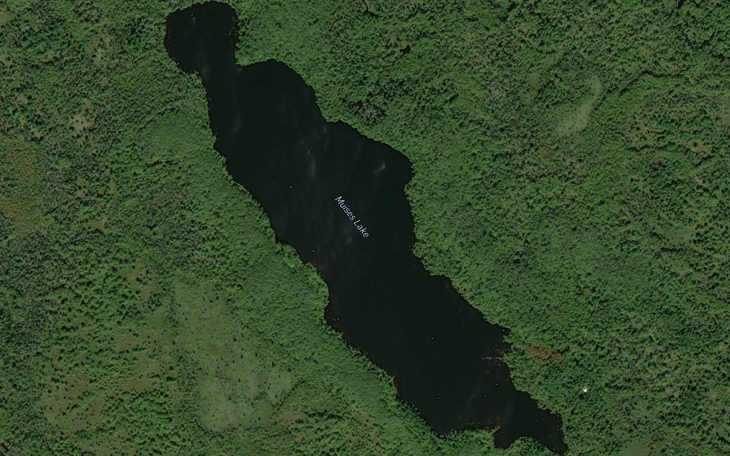 Muises Lake