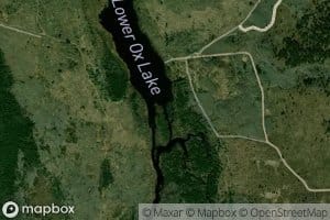 Lower Ox Creek
